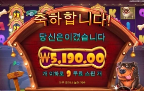 도그멀티칸 다 열어보고싶은데