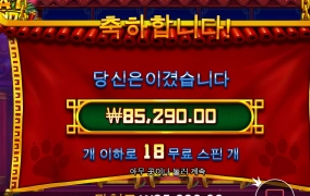 올만에 새벽 스타트 해봅니다