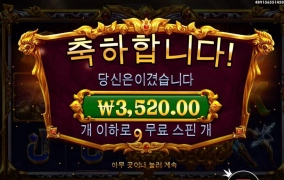 2열와일드만 쏙 빼고주니