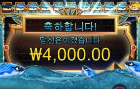 프라그마틱 피씨아이 어렵다