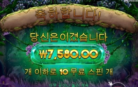 추가스핀 안주노