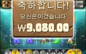 프라그마틱 빅베스 아마존