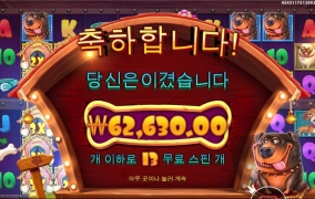 처음으로 도그멀티 다 열어보네