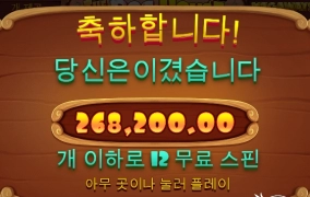 집짓는 맛에 하는 개집