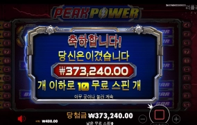 피크 파워 후기