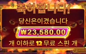 칩칩 캐시 칩스