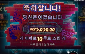 빅도그즈 스핀 비싼데..?