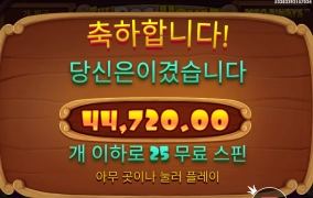 더도그 하우스 메가