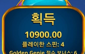 노리밋시티 황금지니 자니?