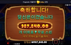 한방이 있는 개집