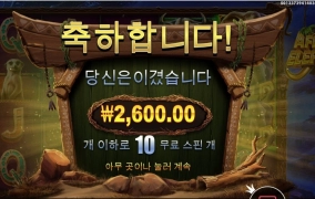 실망이다 코끼리