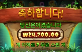 스티키 비즈 샤샷