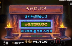 나일 포춘 이녀석,,