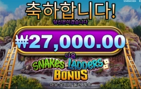 사다리타는 고릴라