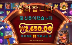 도그멀티 3칸 오픈