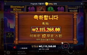 힘차게 앞으로 나가는 버팔로 후기