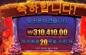 바이킹 포지 후기