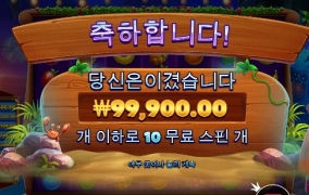 비치비치 와일드 비치