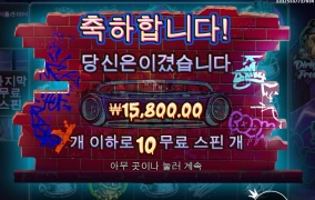 힙한 강아지들 - 더 빅 도그즈