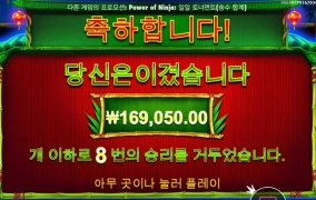 판다 17만 고맙다