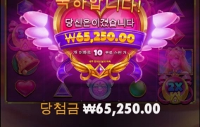 트와일라잇 프린세스 320배당