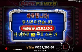 피크 파워 후기