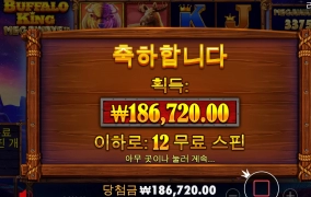 버팔로 추가스핀을 안주네 ㅠㅠ