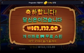 도그하우스 후기