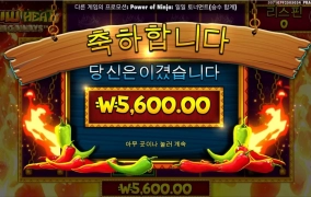 칠리메가 아이템은 다 어디로