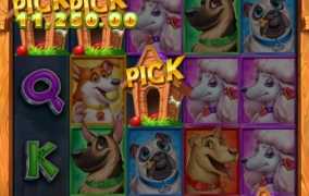 릴렉스게이밍 5 도기 달러스~