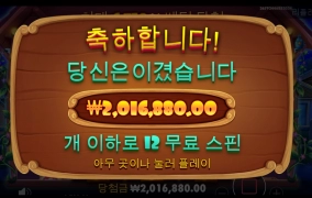 대박 개집 후기