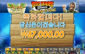 황금털보 수집 굿