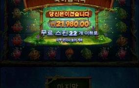 아마존 추가스핀 받으면 머해