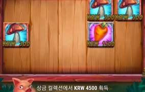 플레이엔고 폭스메이헴