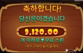 와일드 애매하게 꽂누