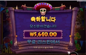 묘비 진짜 안주는구나