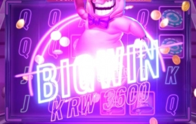 플레이엔고 피기블리츠