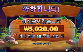 물풍선와일드 안보여