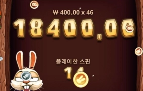 노리밋시티 보너스 버니 표정 떫떠름