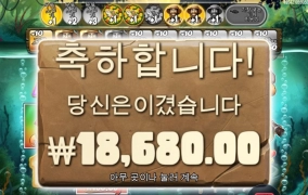 빅베스 아마존 털보 행방불명