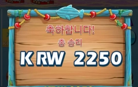 플레이엔고 보트보난자 쓰읍