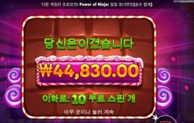 이대로 수익마감하고 자야쥐