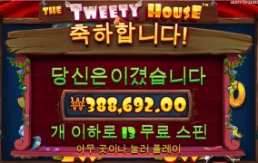 닭집 39콩 ㅅㅅㅅ