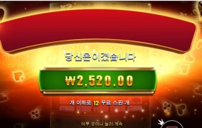 에이스 포춘 안주노