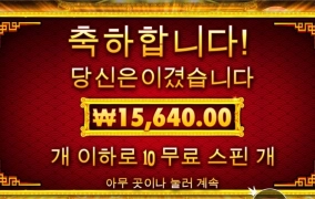 오라메 유사품 포춘드래곤 ㅎ