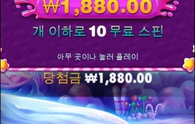 스윗하지않는 보난자