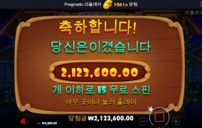 도그 하우스 후기