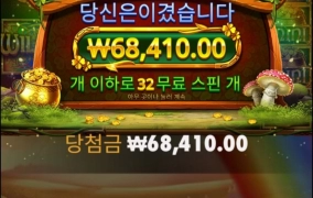 와일드 리치메가 32스핀