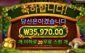 와일드 리치 메가 22풀스핀