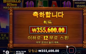 버팔로 오늘하루 마무리